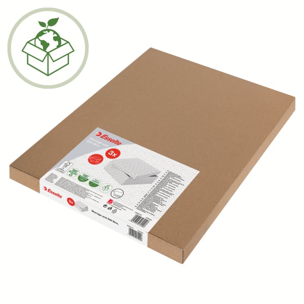 Esselte Cajas de almacenaje grandes, pack cajas de cartón