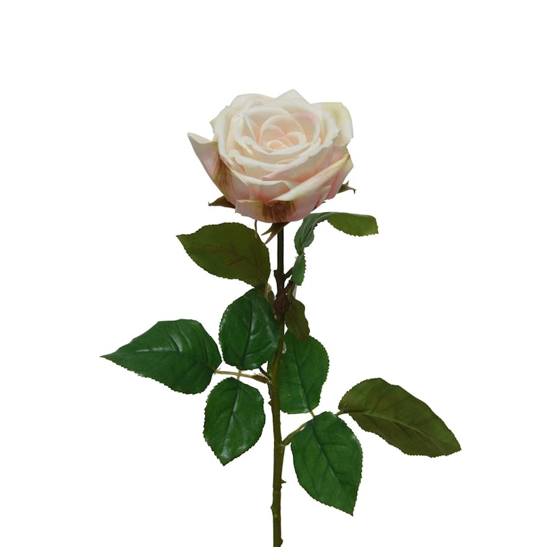 Rose am Stiel | 68cm Real Kunstblume künstliche Touch H: Blume METRO Rosenblüte creme Marktplatz