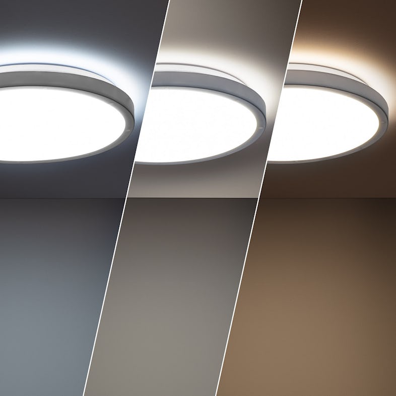 Plafón LED IRIS (15W-20W-30W) - Modern - Hall - Other - by lamparas.es