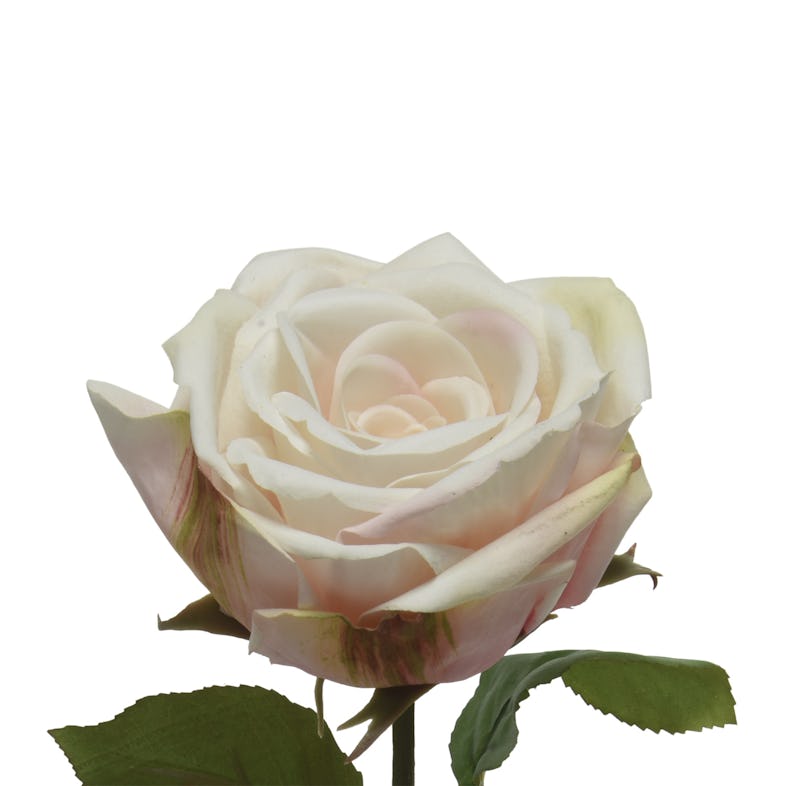 H: Real am creme 68cm Blume Rose künstliche Touch Rosenblüte | Stiel METRO Kunstblume Marktplatz