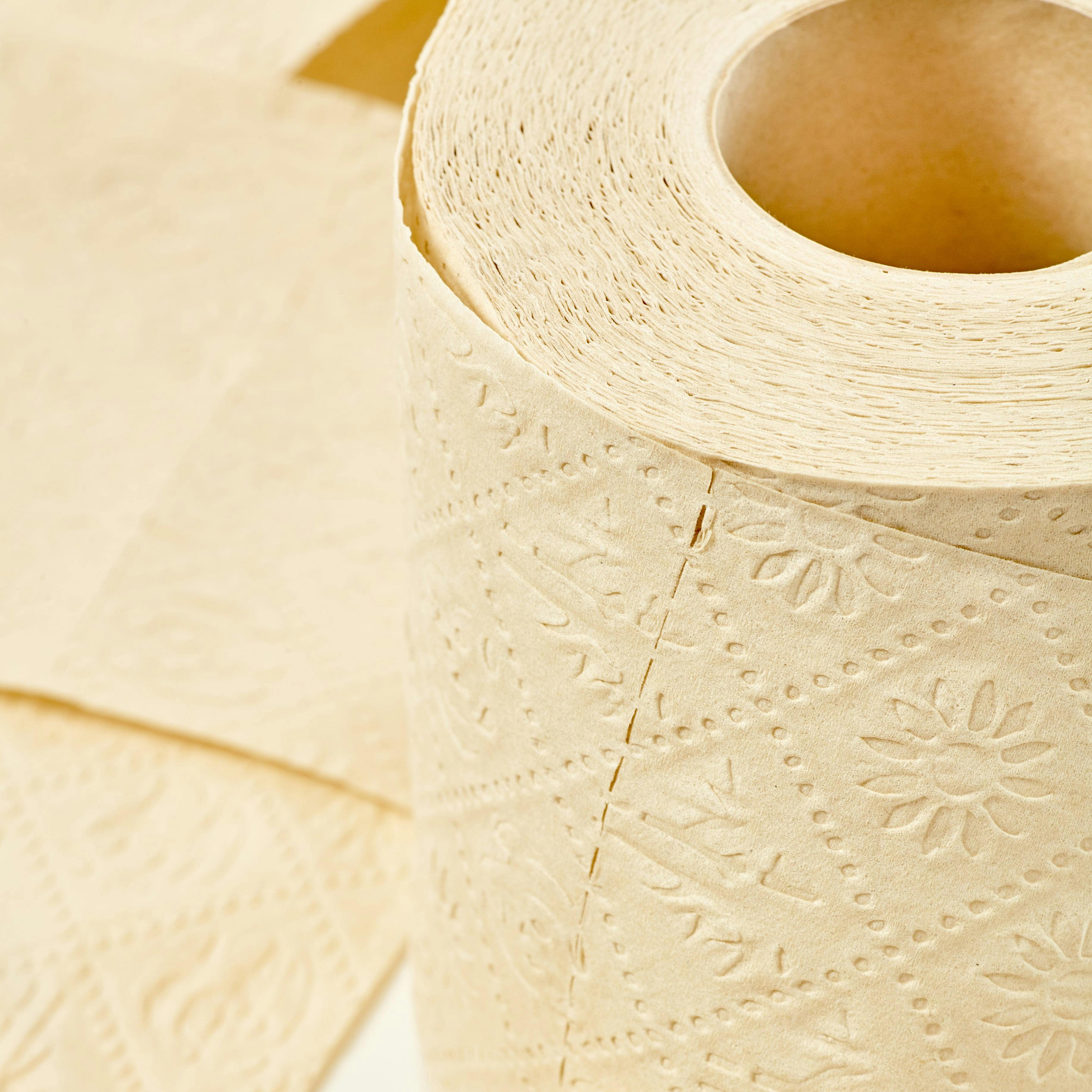 24 x 8 Rollen = 192 Rollen Bamboo-Soft Toilettenpapier aus 100% Bambus 