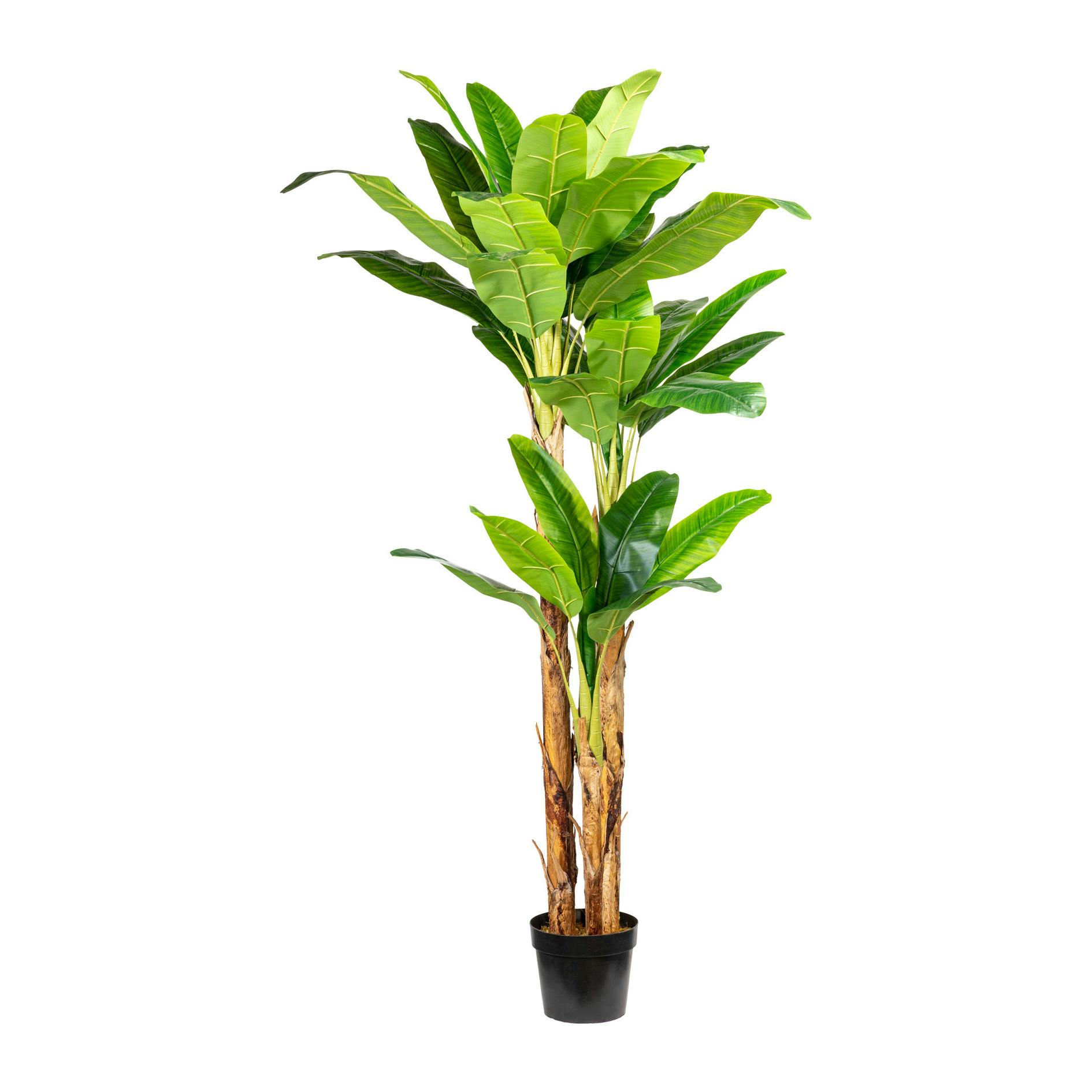 CREATIV green Künstliche Palme Bananenpflanze 240cm | Marktplatz im METRO Topf