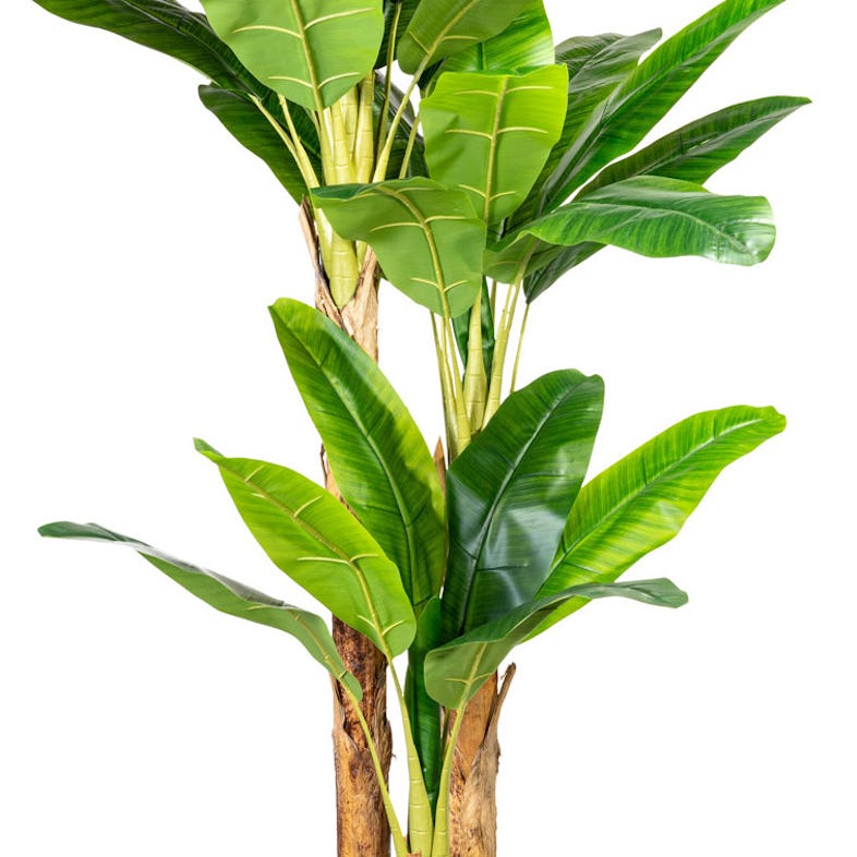 CREATIV green Künstliche Palme Bananenpflanze 240cm | im Marktplatz METRO Topf