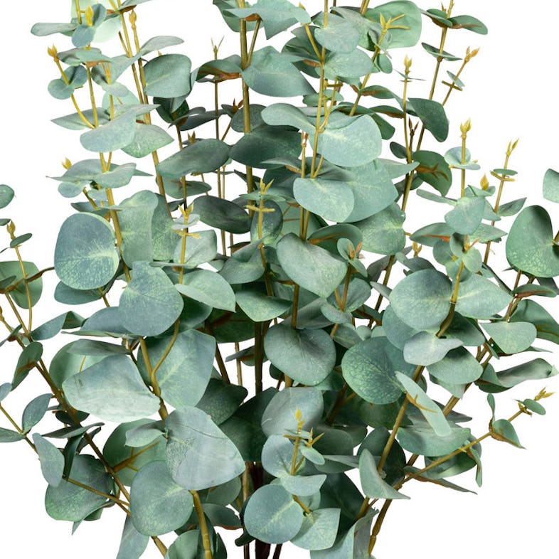 Kunststofftopf CREATIV Erde METRO Pflanze mit Eukalyptus Marktplatz grüngrau, Silverdollar, 80cm, green künstliche im | 15x13cm, ca