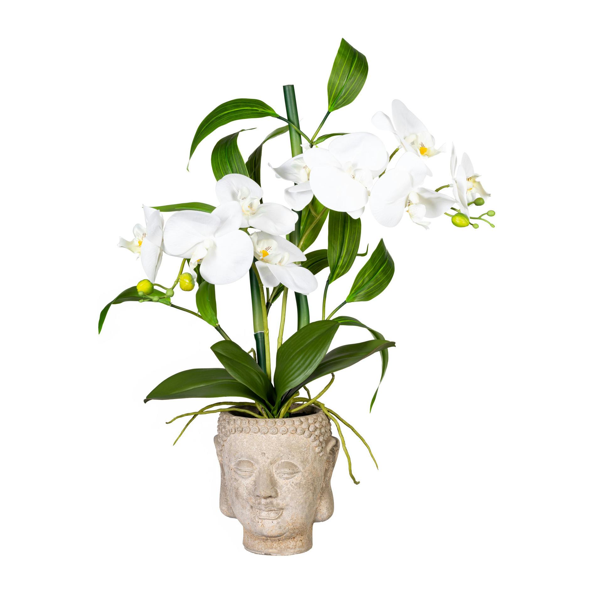 CREATIV green künstliche Pflanze Orchideen-Bambus Arrangement x2, ca 60cm,  weiss, Real Touch, im Zementtopf Buddha | METRO Marktplatz
