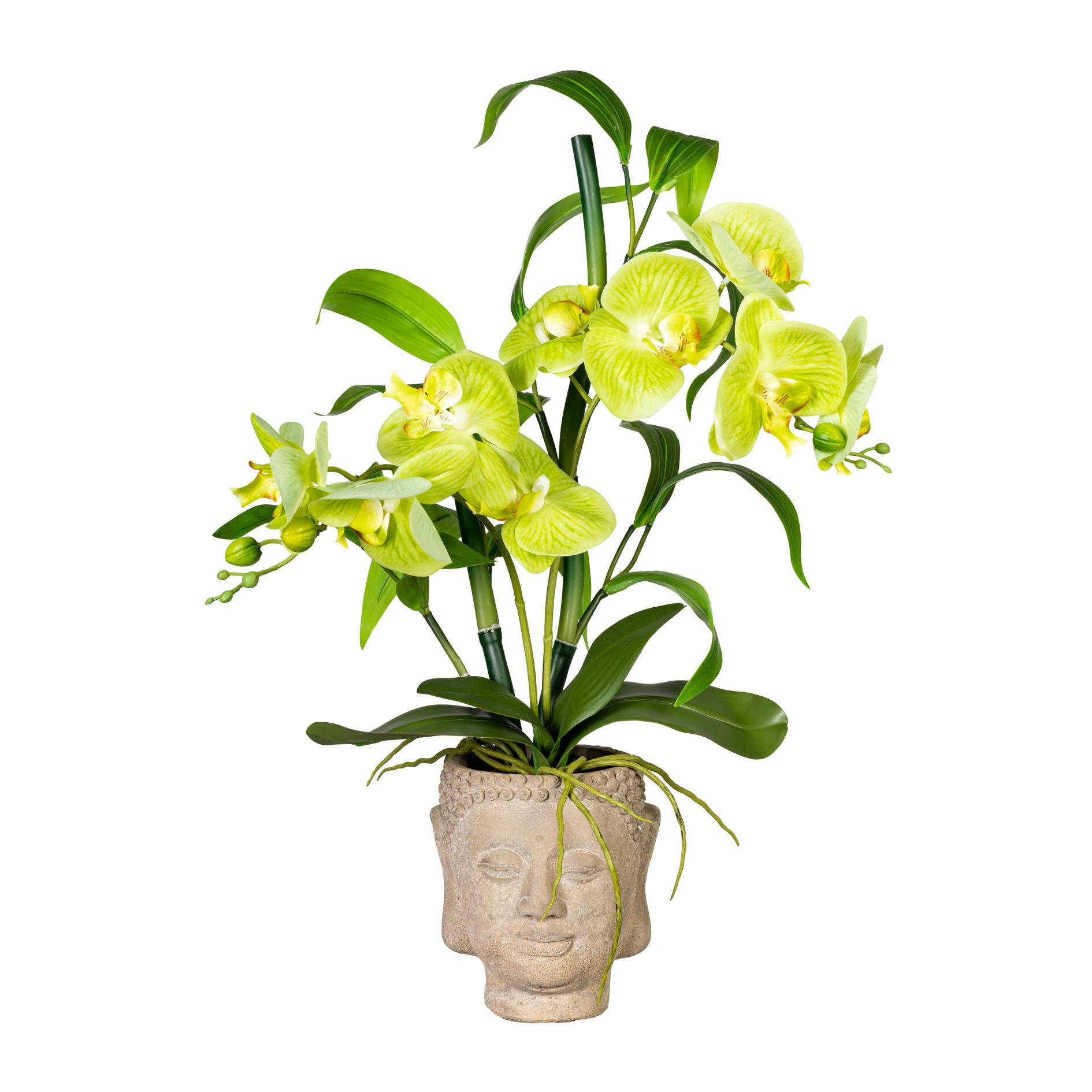 Arrangement green künstliche Pflanze Orchideen-Bambus ca CREATIV x2, Touch, Marktplatz | METRO Real im Buddha Zementtopf grün, 60cm,