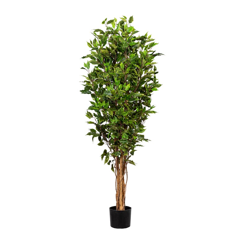 CREATIV green künstliche Ficus | beständig, UV Benjamini 1056 im Pflanze 14,5x13cm, Marktplatz ca Erde 150cm, Bl. Naturstamm, METRO mit Kunststofftopf
