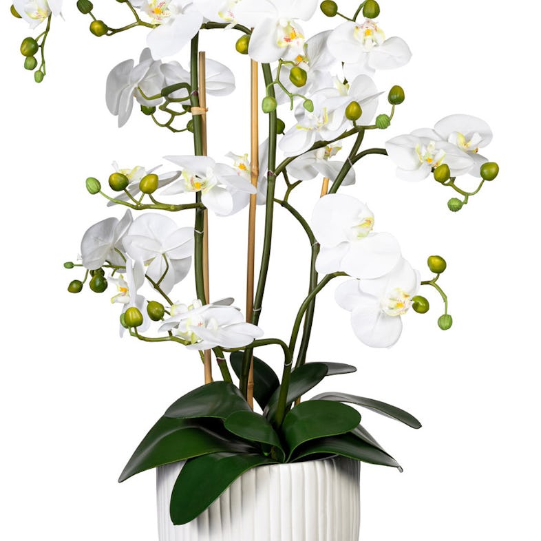 CREATIV green künstliche Pflanze Orchidee weiss, ca Phalaenopsis Real Touch, mit in x12, 12 Erde, METRO Keramik | 110cm, Bl., Marktplatz