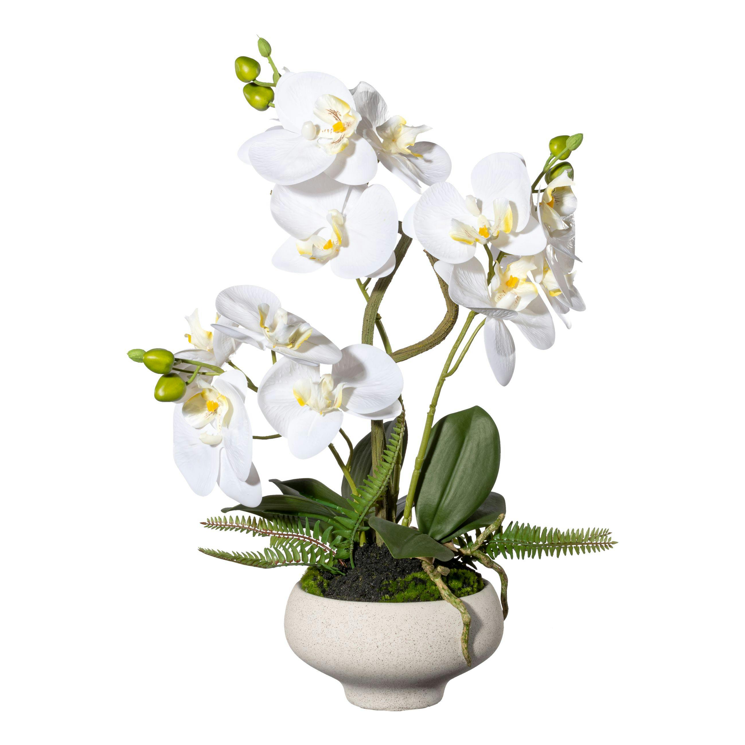 CREATIV green künstliche Pflanze Orchidee Phalaenopsis x3, ca 50cm weiss,  Real Touch, arrangiert mit Laub und Wurzel | METRO Marktplatz