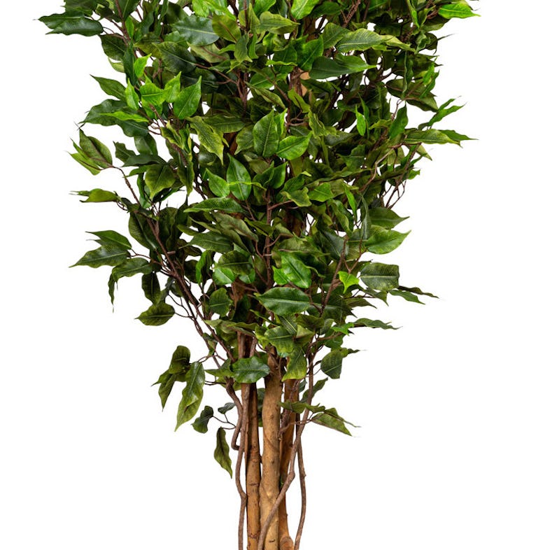 CREATIV green künstliche Pflanze Ficus Benjamini 1056 Bl. ca 150cm,  Naturstamm, UV beständig, im Kunststofftopf 14,5x13cm, mit Erde | METRO  Marktplatz