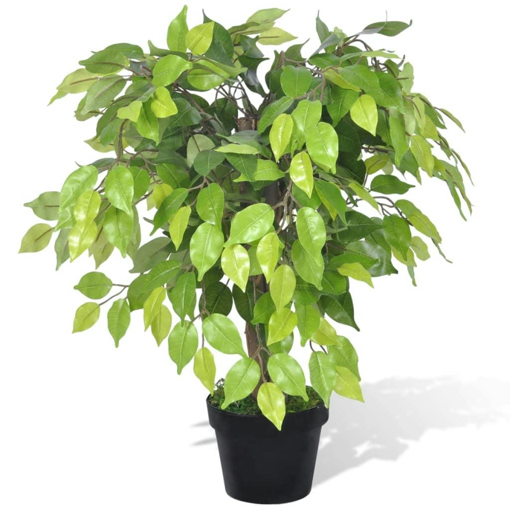 Planta enana artificial de ficus en maceta, 60 cm | MAKRO Marketplace