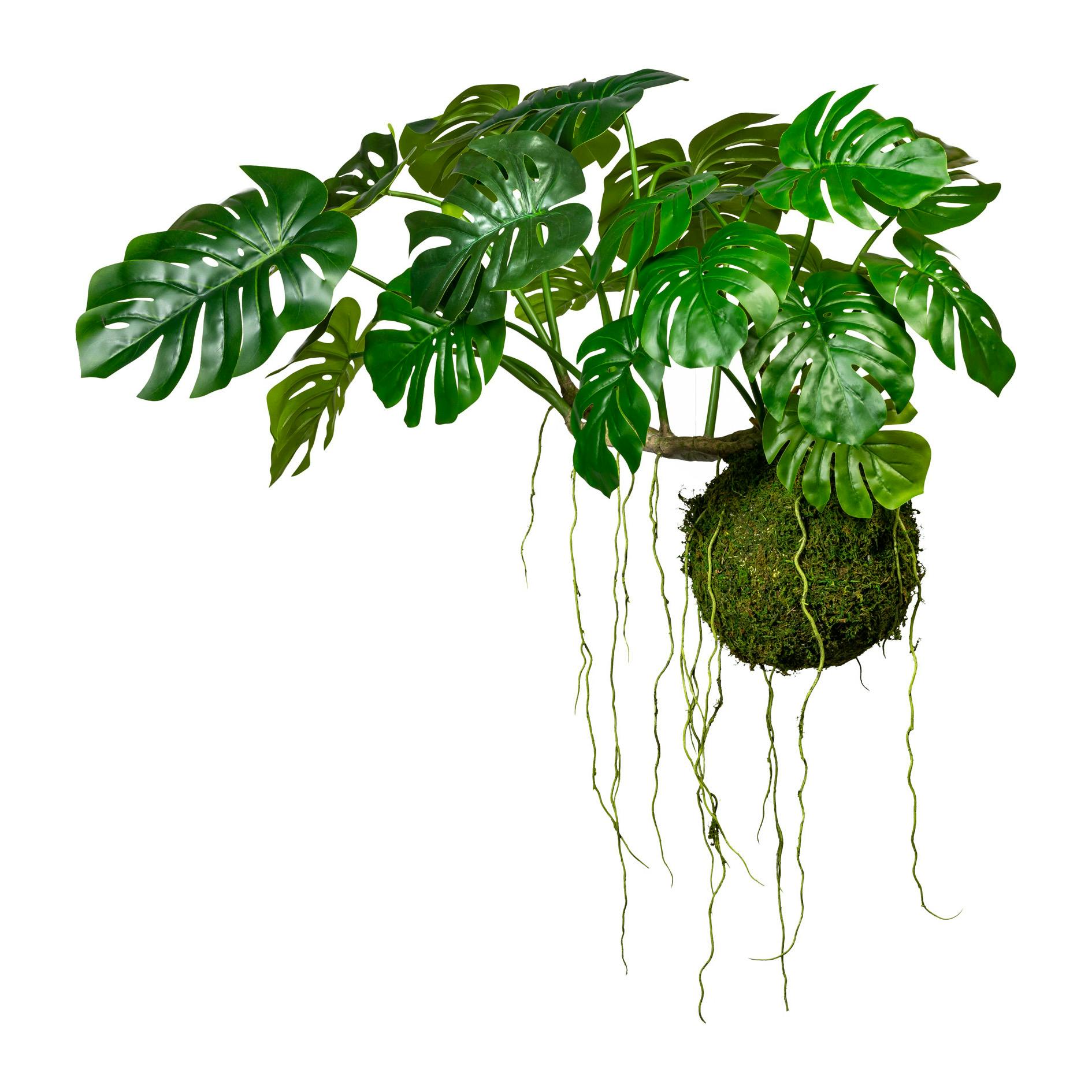 ca künstliche green 28cm, Pflanze Mooskugel CREATIV | ca 80cm, Splitphilodendron auf METRO 120cm H B Marktplatz Drahthänger,