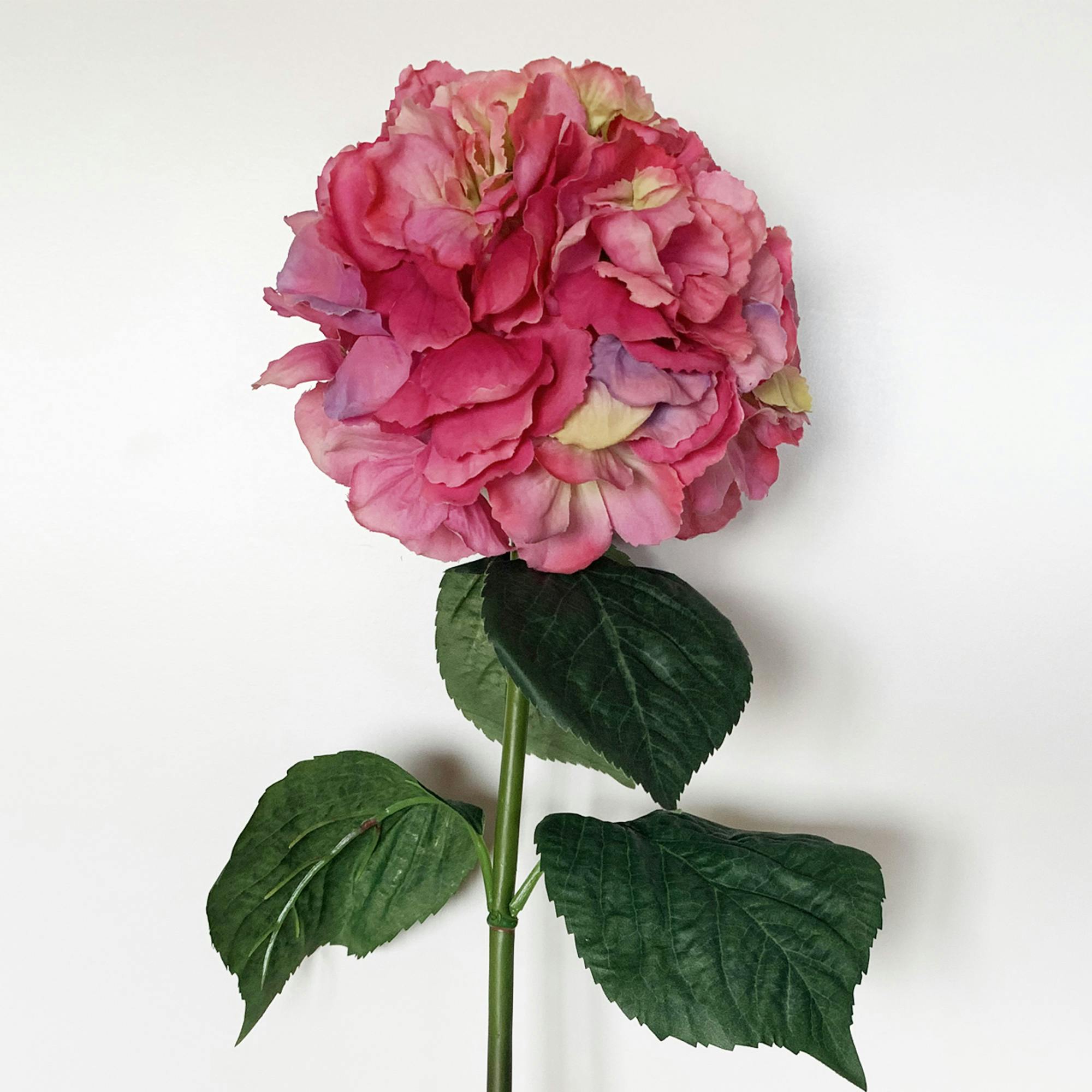 Ramo De Hortensia Con Tacto Natural 88 Cm Con Flores De Ø20 Cm En Color  Fucsia | MAKRO Marketplace