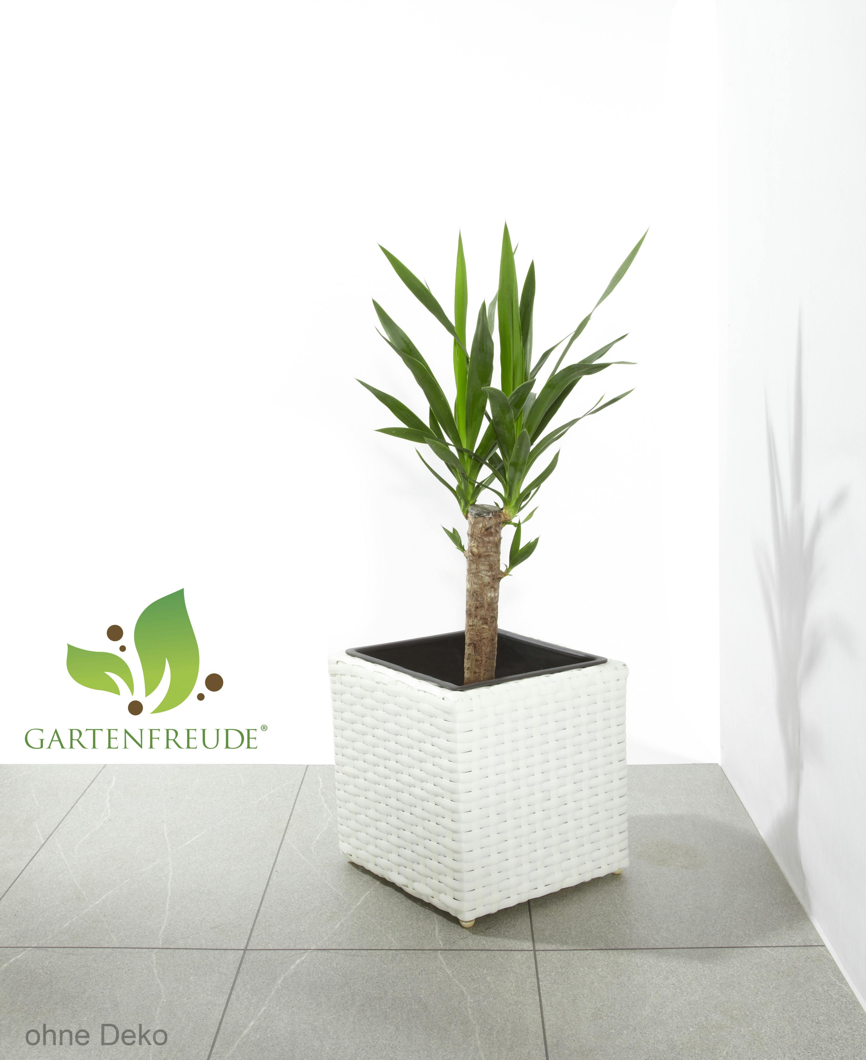 Gartenfreude Pflanzkübel Polyrattan 28 x 28 x 28 cm, für Innen und Außen,  Kunststoffeinsatz, weiß | METRO Marktplatz