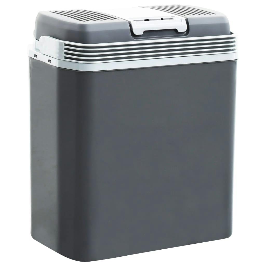 Elektrische Kühlbox, 45 Liter, schwarz
