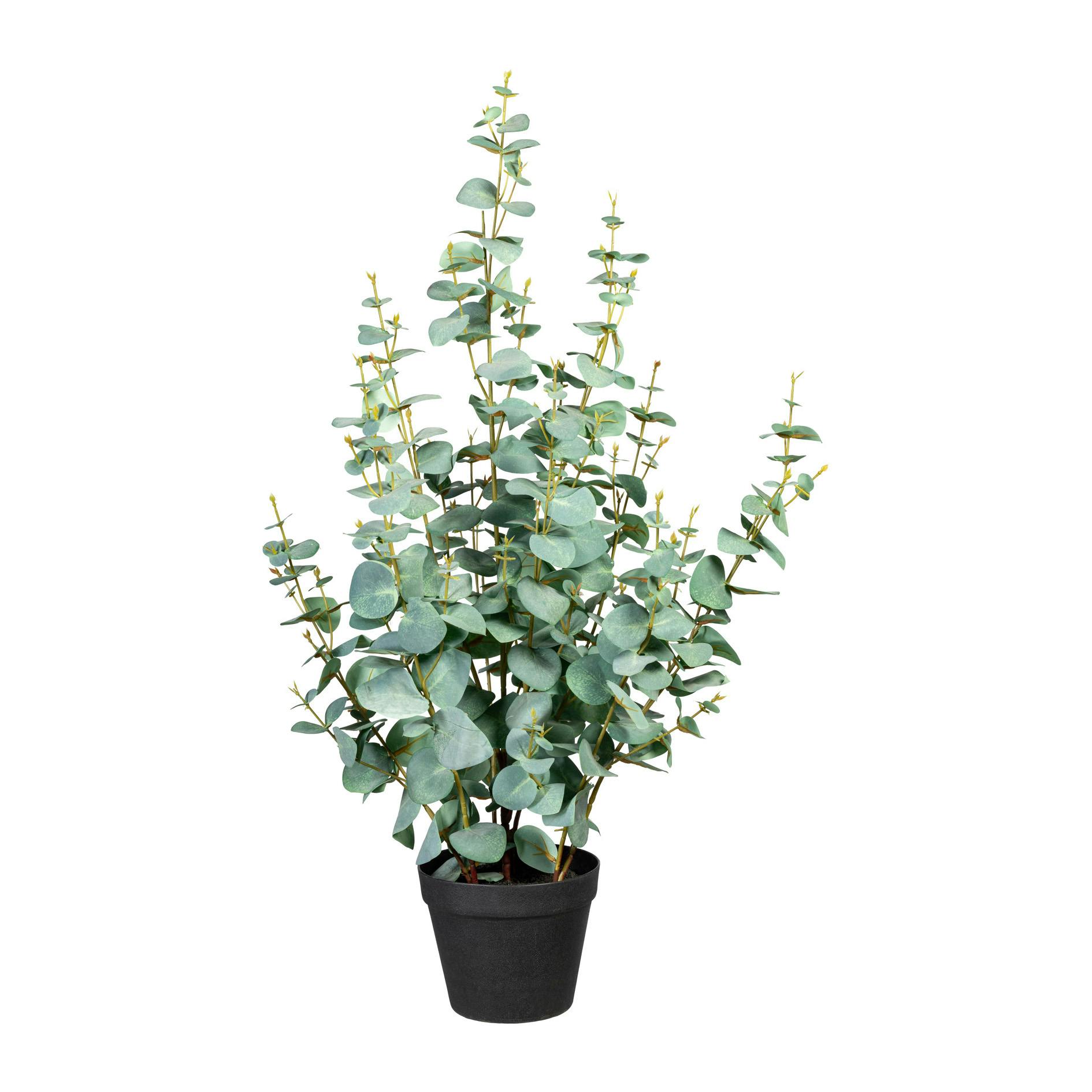 CREATIV green künstliche Pflanze Eukalyptus Silverdollar, ca 80cm,  grüngrau, im Kunststofftopf 15x13cm, mit Erde | METRO Marktplatz