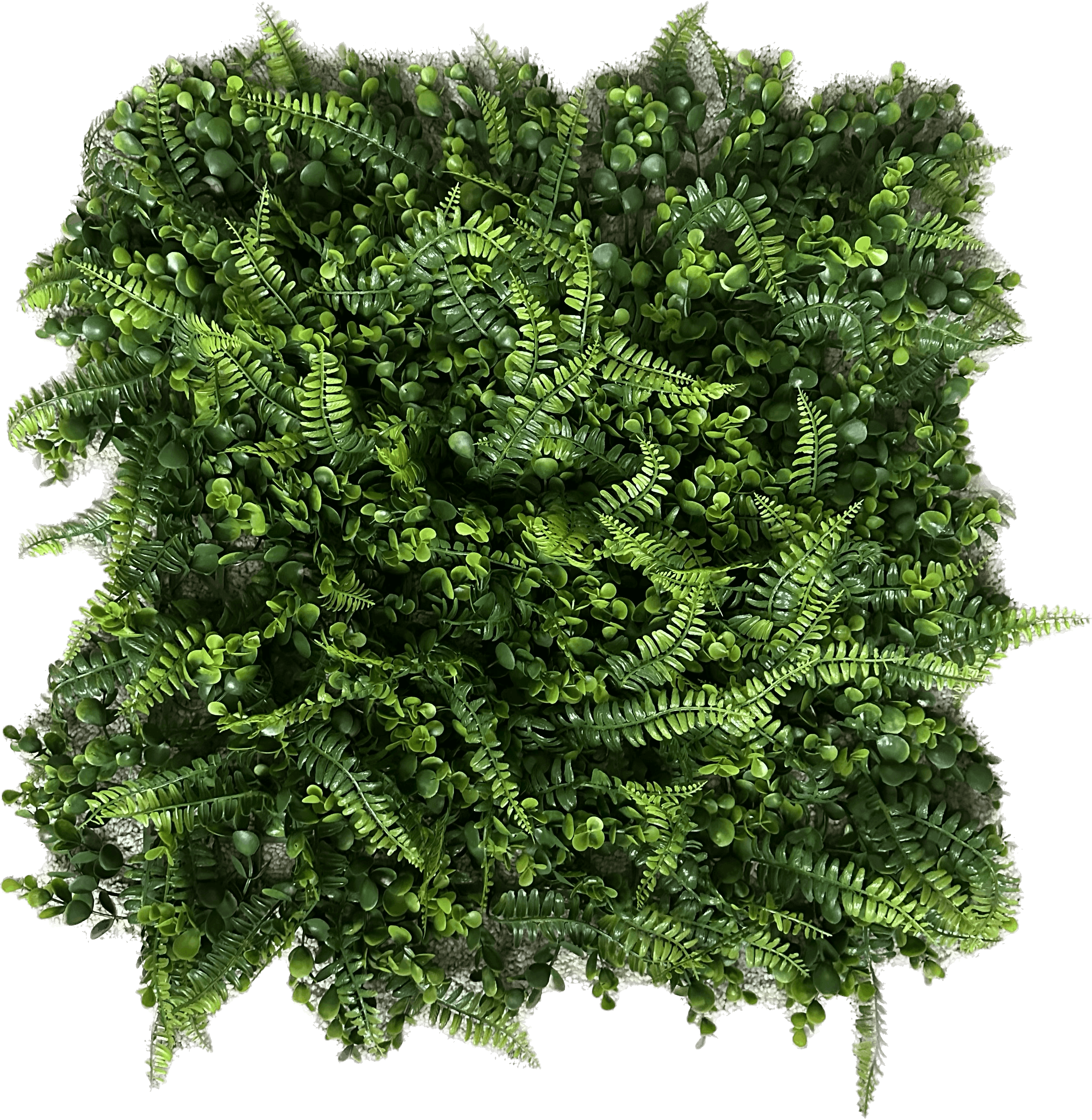 GeckoWall LAGOS Jungle Fern Wall Panel Premium