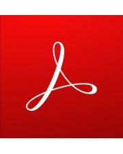 Adobe Acrobat Standard 2020 BoxPack 1 Benutzer METRO Marktplatz