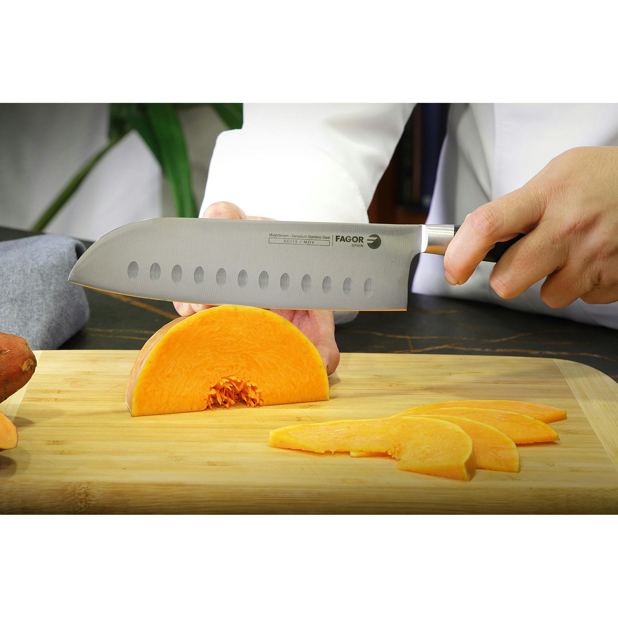 Coltelli da Cucina Professional da Cuoco 25 cm Lama in Acciaio Inossidabile  FAGOR Couper