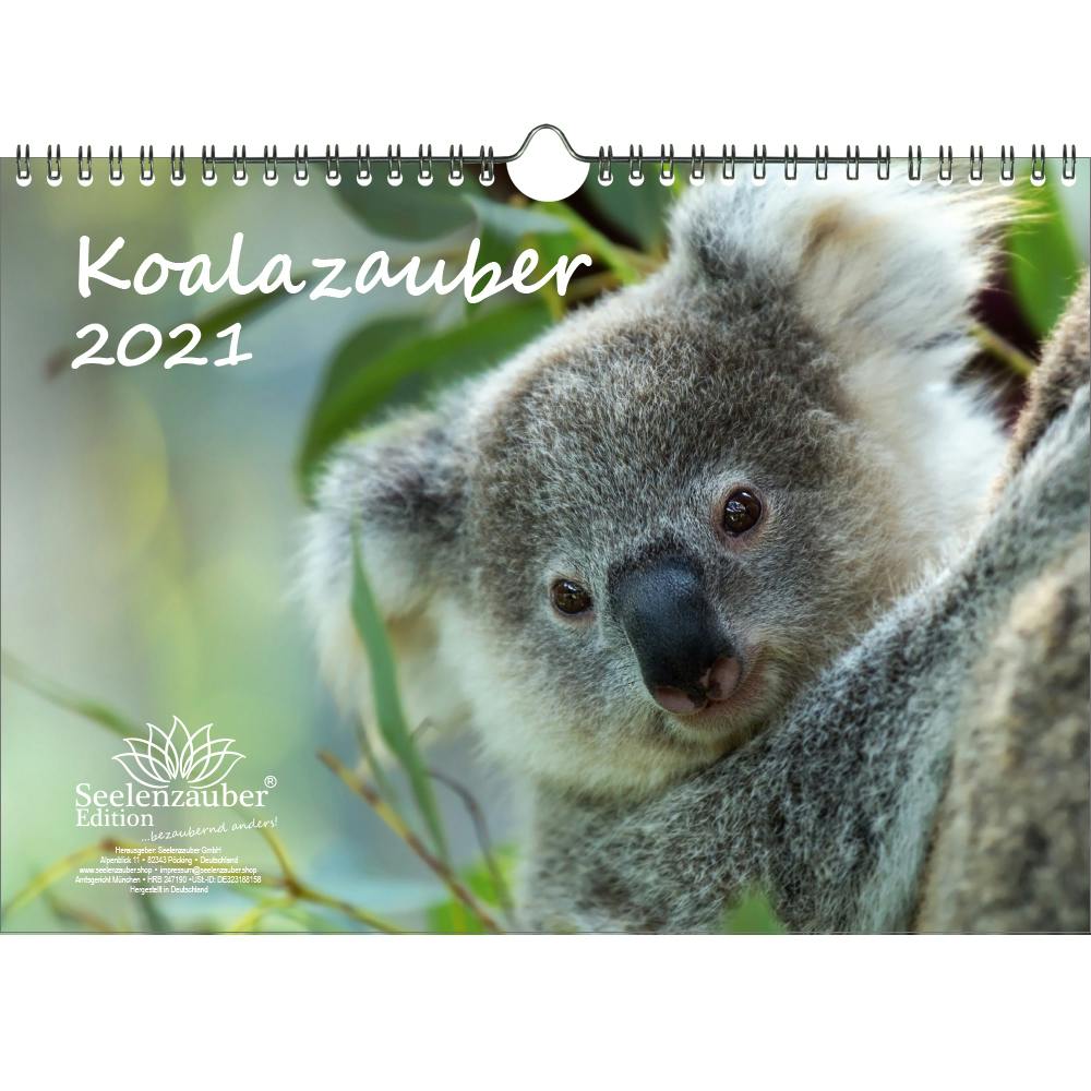 Seelenzauber Waschbärenzauber DIN A5 Tischkalender für 2021 Waschbären