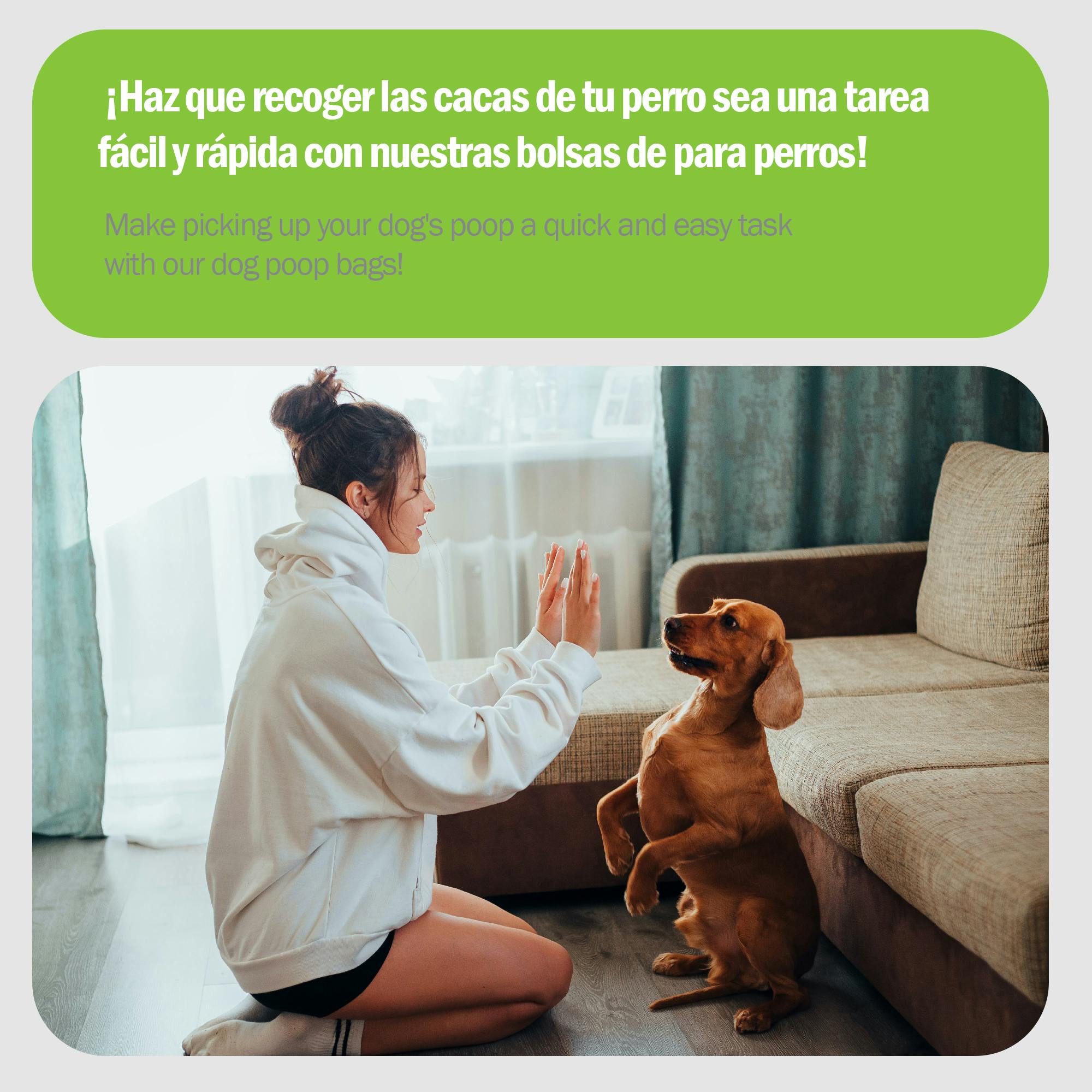 cuál es la forma más rápida de recoger caca de perro