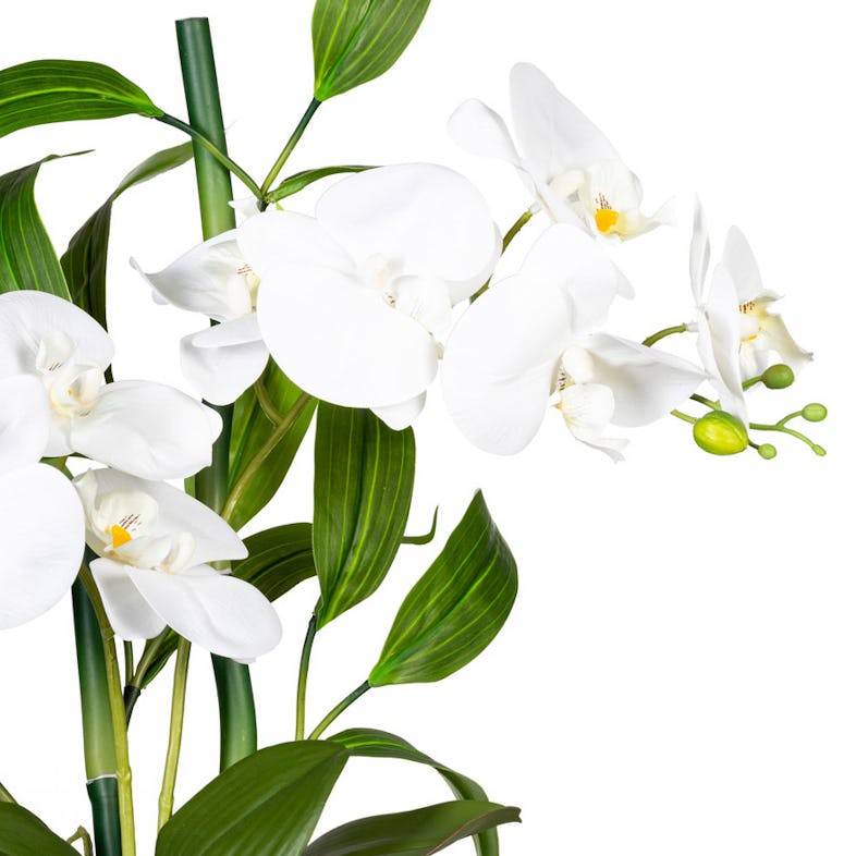 Arrangement 60cm, Orchideen-Bambus METRO Buddha künstliche Pflanze Real Touch, im | CREATIV Zementtopf x2, green weiss, ca Marktplatz