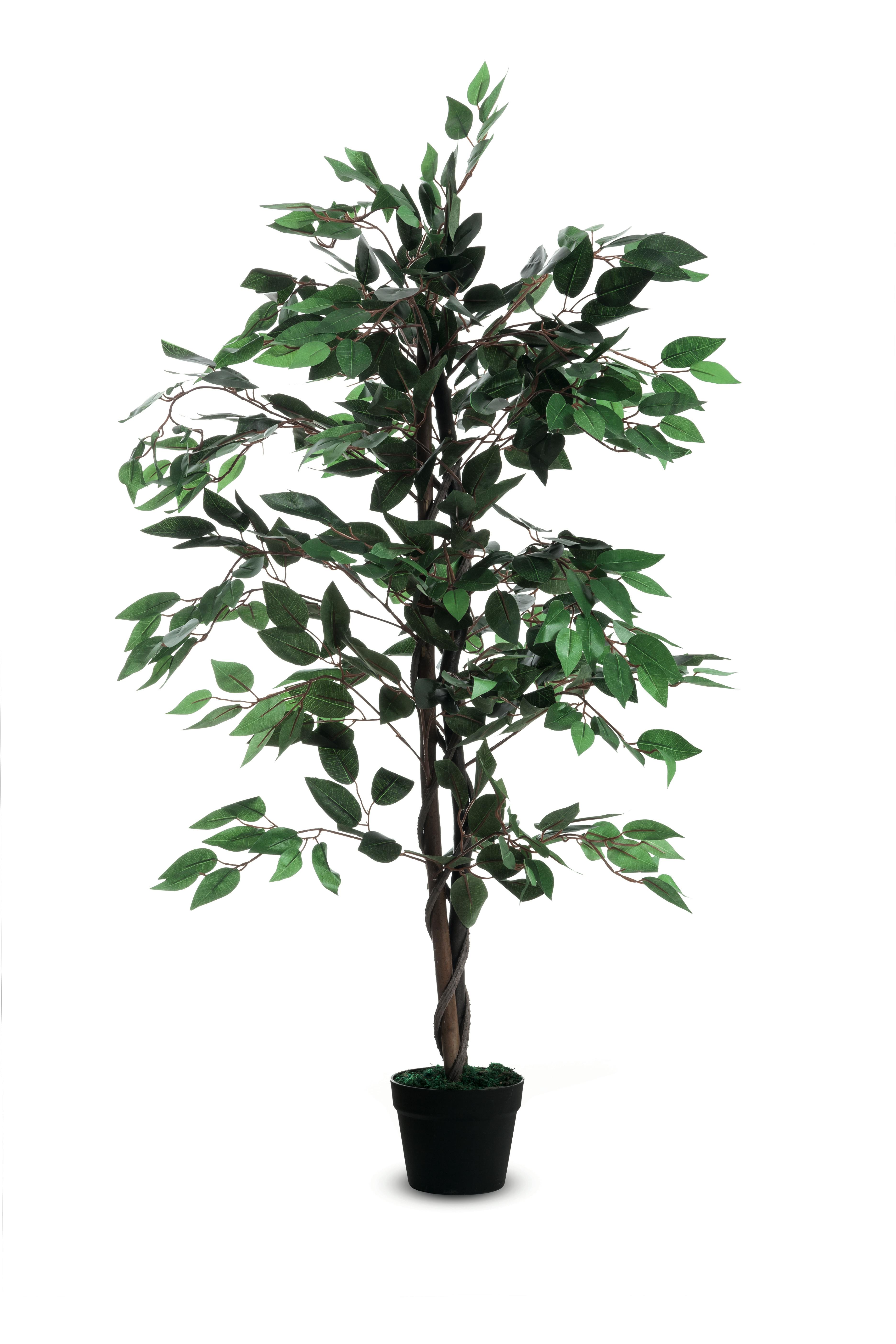 Paperflow pianta artificiale, Ficus, 120 cm