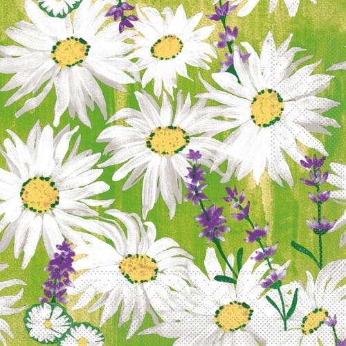 Mank Serviette Tissue Nadine 40 X 40 Cm 100 Stuck Lavendel Margeriten Blumen Wiese Metro Marktplatz