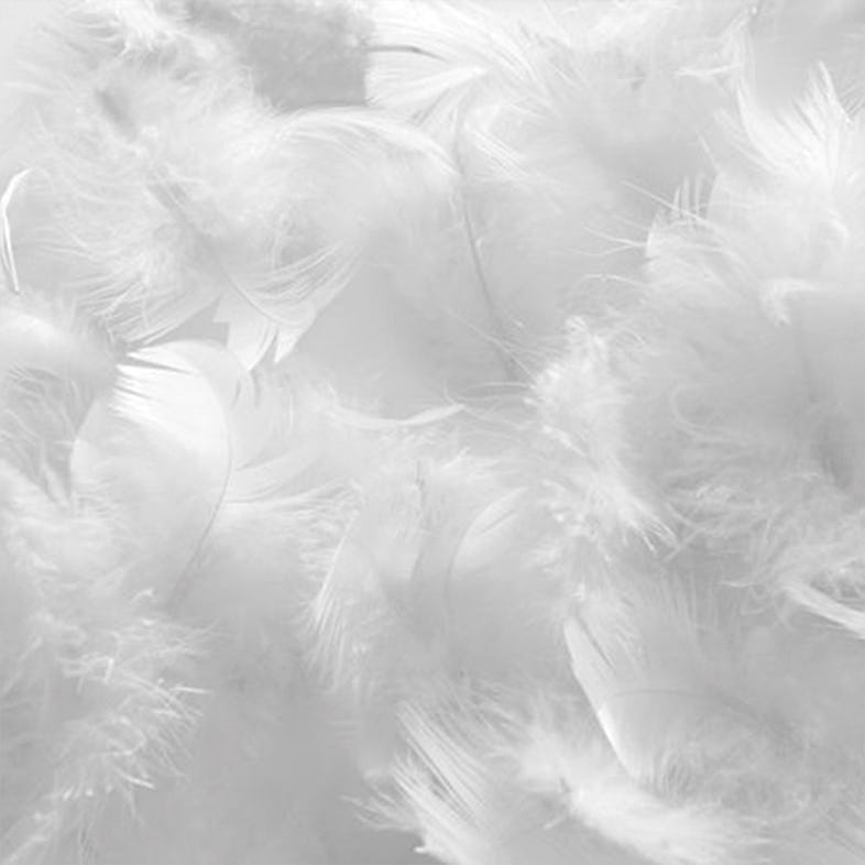 Couette chaude en plumettes et duvet - Blanc - 220x240 cm - Coton