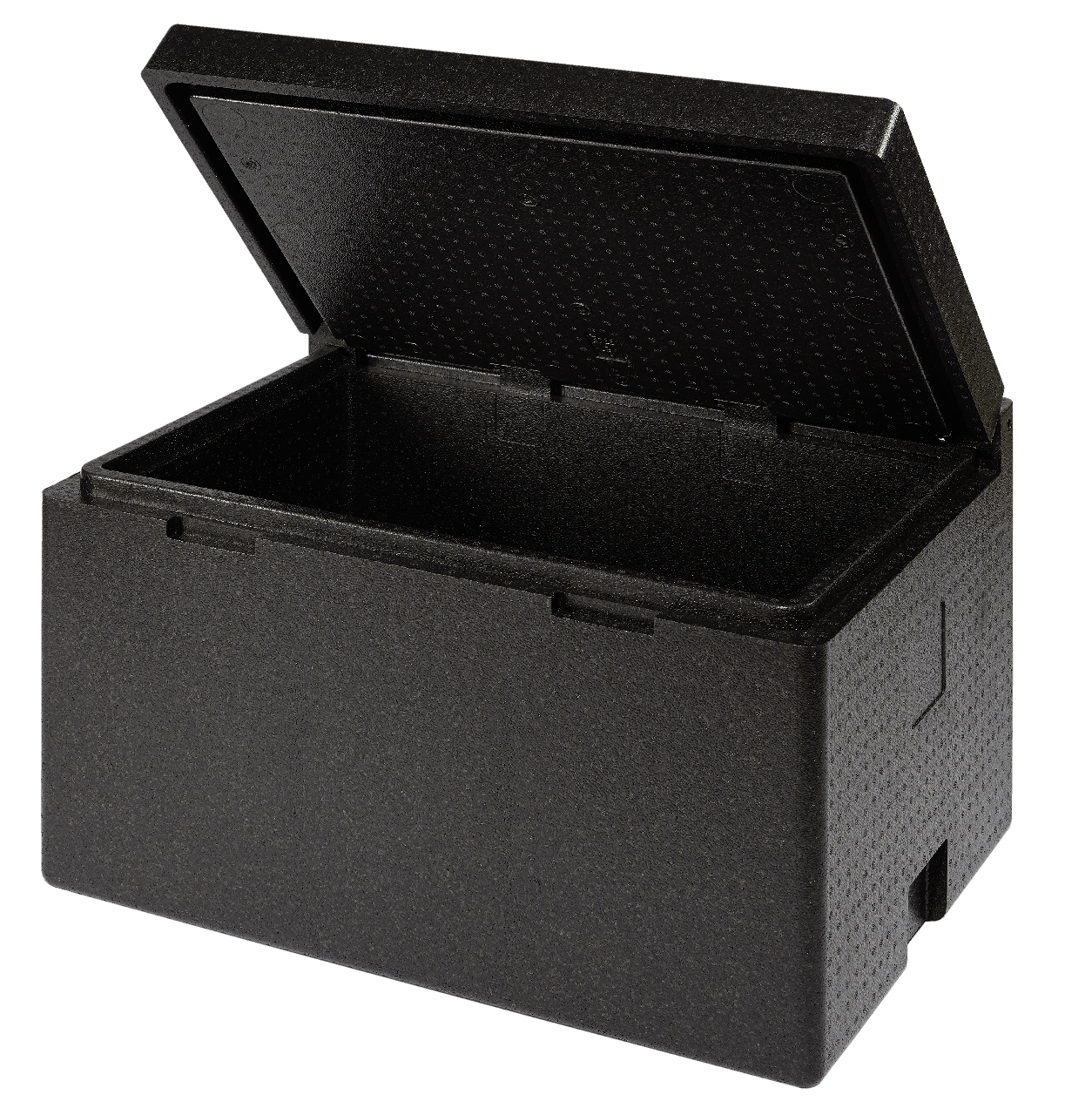 patrouille Aandringen Verbeteren METRO Professional Cargo Koelbox, 80 x 60 x 52 cm, polypropyleen, 120 L,  zwart | MAKRO Webshop