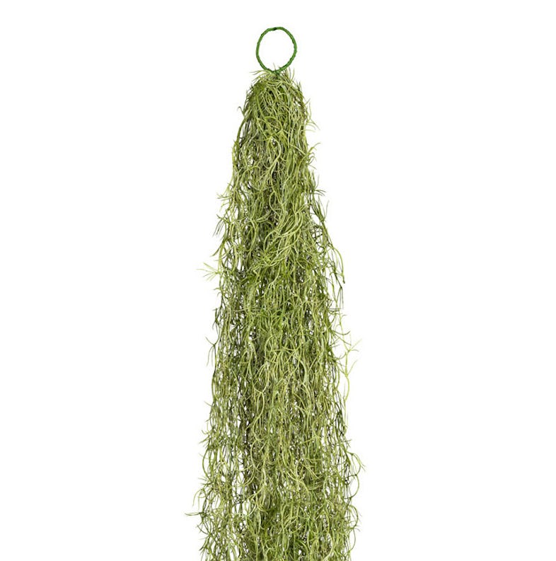 | green METRO Tillandsienhänger, CREATIV ca Pflanze grün Marktplatz künstliche 140cm, Kunststoff,