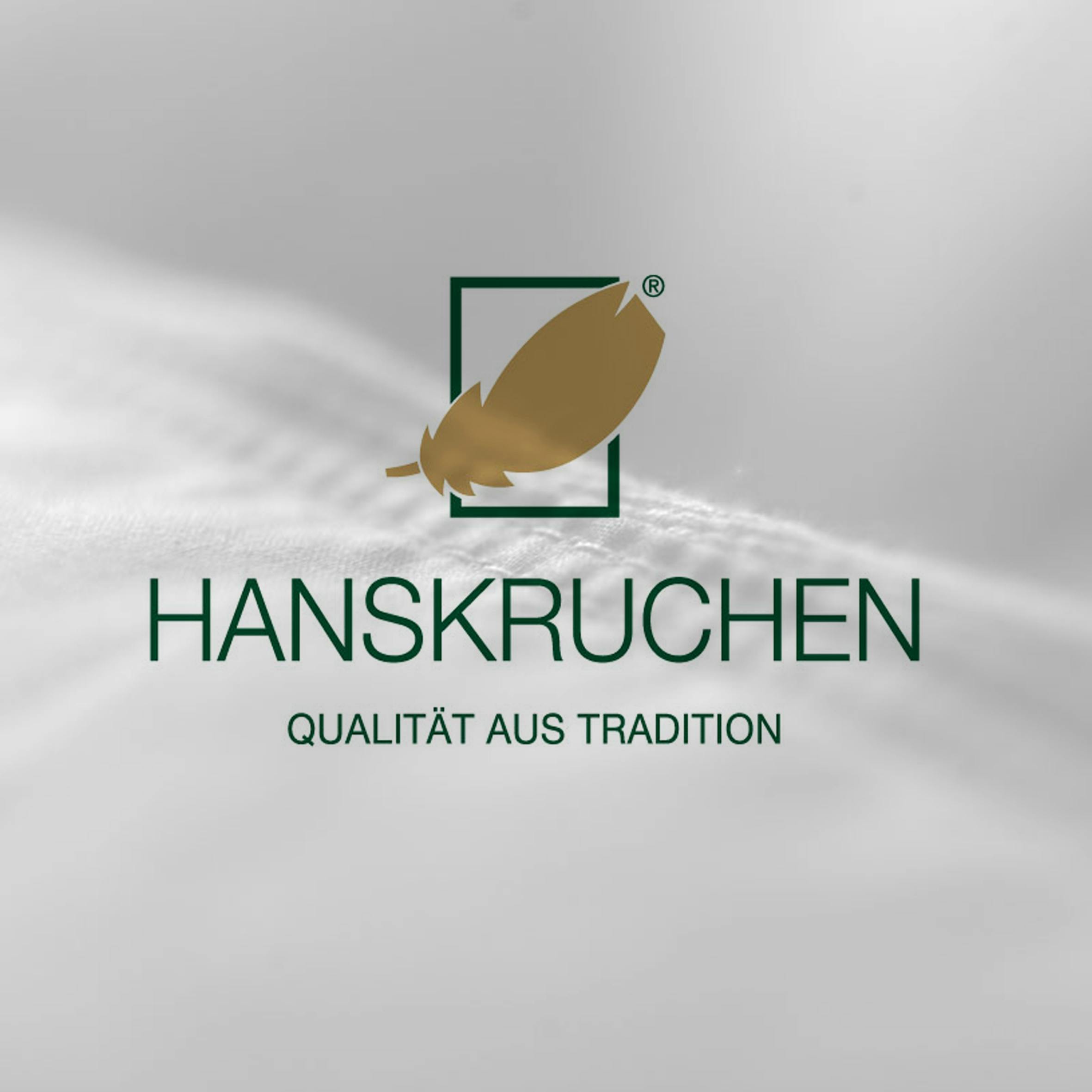 LEICHT Hanskruchen Premium de Luxe Daunendecke 10% Federn 90% Daunen 200 x 200 cm